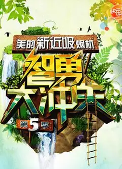智勇大冲关 第五季