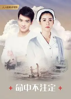 命中不注定普通话版