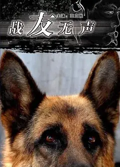 战友无声