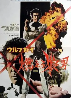 wolf guy 燃烧吧狼人
