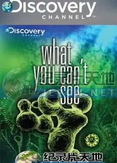 肉眼不见的世界