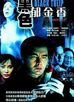 黑色郁金香