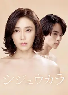 40岁开始