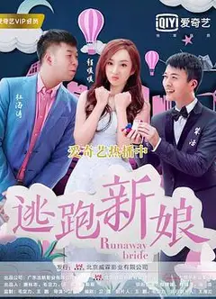 逃跑新娘2017