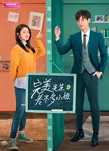 完美先生和差不多小姐印尼语字幕版