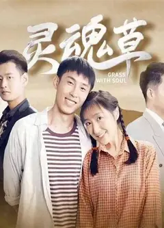 灵魂草