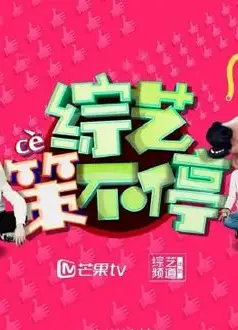 综艺策不停2017