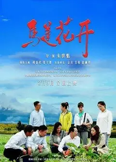 马莲花开