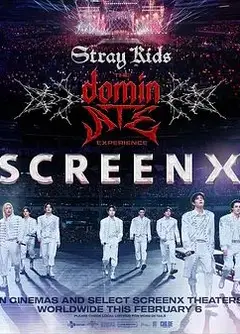 Stray Kids：主宰一切的体验