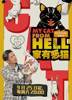 家有恶猫