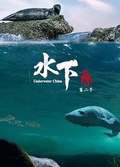 水下中国第二季