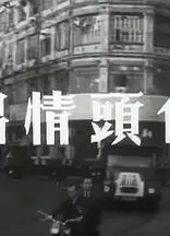 白头情侣