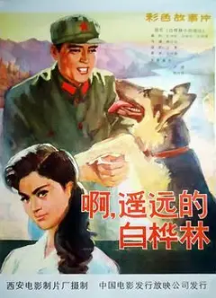 白桦林中的哨所