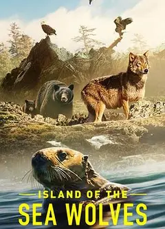 海狼之岛