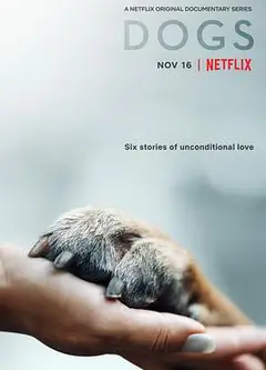 爱犬情深第一季
