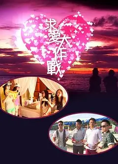 求爱大作战2013