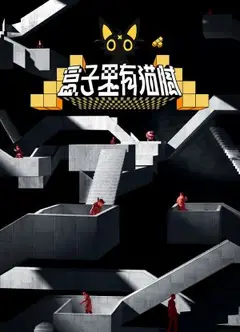 盒子里有猫腻