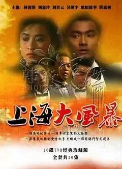 上海大风暴普通话版