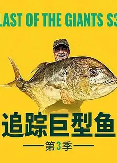 追踪巨型鱼 第三季
