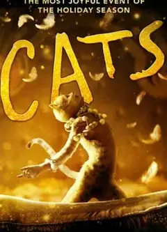 猫2019