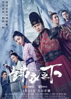 锦衣之下 一下CP版