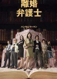 离婚女律师