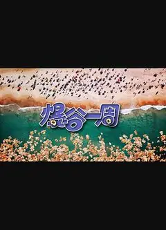 爆谷一周3粤语
