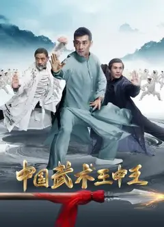 中国武术王中王