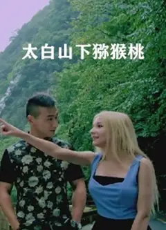 太白山下猕猴桃