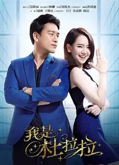 我是杜拉拉[DVD版]
