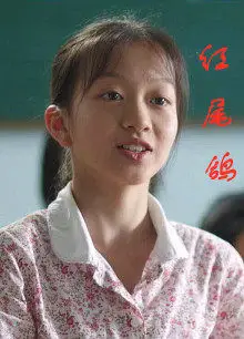 红尾鸽