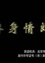 替身情郎