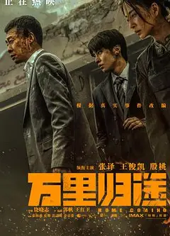 万里归途