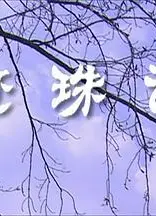 还珠记
