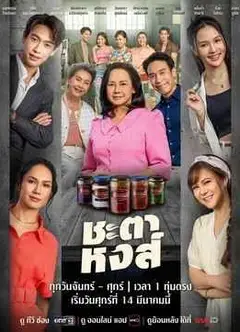 凤凰的命运