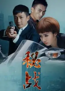 秘战2015