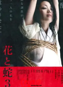 花与蛇3：白衣绳奴