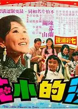 泪的小花
