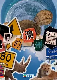 他们的澳洲驾期