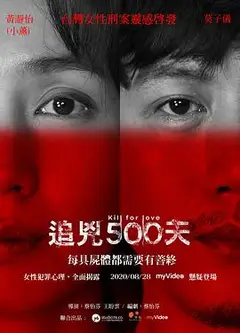 追凶500天