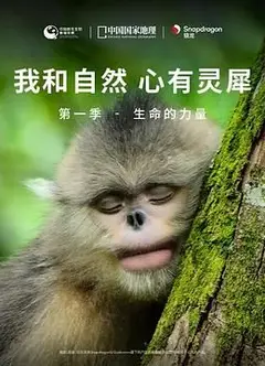 《我和自然 心有灵犀》第一季 - 生命的力量