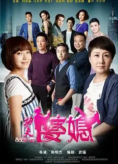 功夫婆媳