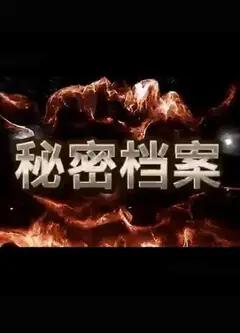 秘密档案