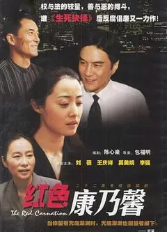 红色康乃馨