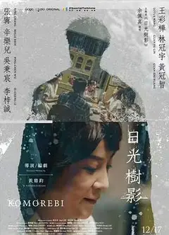 日光树影
