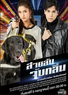 侦探K9普国语