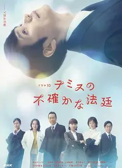 忒弥斯的不确定法庭