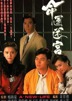 命运迷宫国语