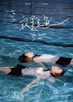 寂寞金鱼