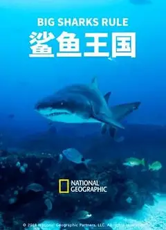 鲨鱼王国